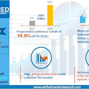 Global RFID Healthcare Report distingue Datelka como uma das principais empresas do sector a nível global.